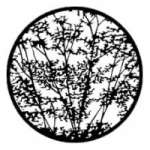 rosco 79106 (DHA 99106) leafy branches break-up in M size (compatible with dedolight projection system) rosco 79106 (DHA 99106) leafy branches break-up in M size (compatible with dedolight projection system)